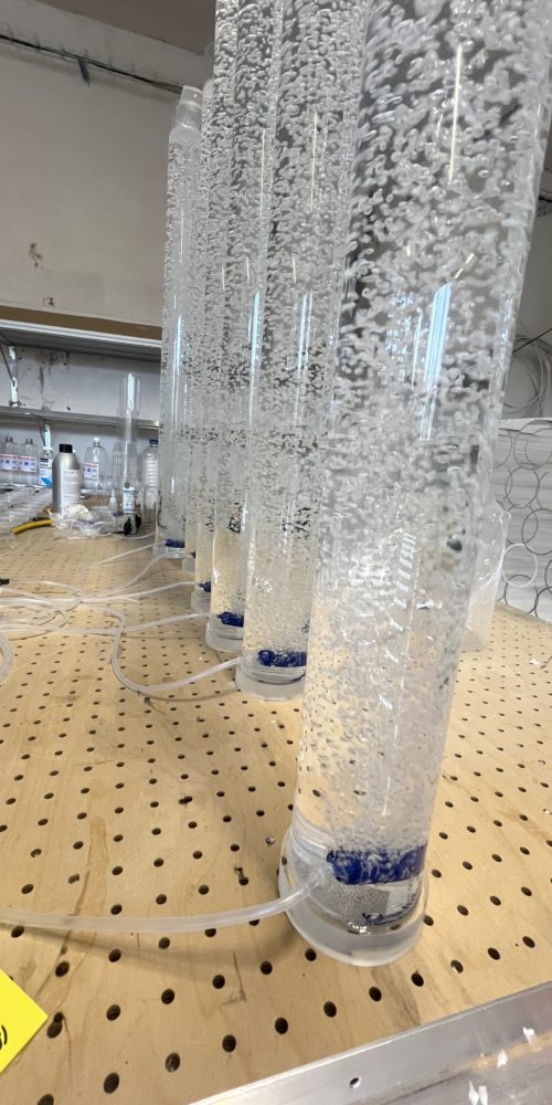 Akvaristika byla naše volba